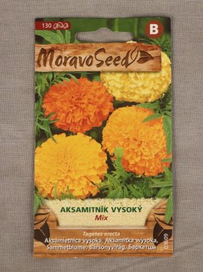 Aksamitník vysoký Tagetes erecta Nelen pro zelen semínka
