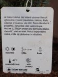 Picea glauca 'Sander´s Blue´ Smrk sivý zakrslý 'Sander's Blue' Nelen pro zelen etiketa