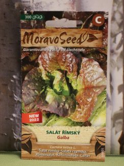 Salát římský 'Galba'