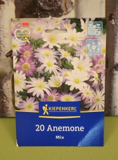 Balkánská směs sasanek Anemone blanda Nelen pro zelen etiketa