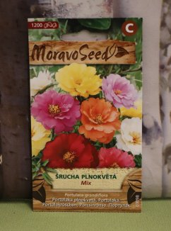 Šrucha plnokvětá Nelen pro zelen semena