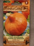 Tykev velkoplodá hokkaido UCHIKI KURI Nelen pro zelen Cucurbita maxima UCHIKI KURI plod