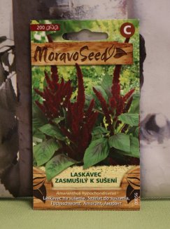 Laskavec zasmušilý - červený Nelen pro zelen semena