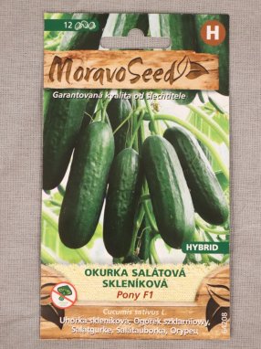 Okurka salátová skleníková Pony F1 Cucumis sativus Pony F1 Nelen pro zelen semínka