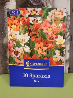 Směs mečovky s třásněmi Nelen pro zelen