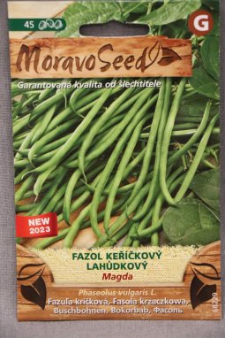Fazol keříčkový MAGDA Nelen pro zelen Phaseolus vulgaris MAGDA semeno
