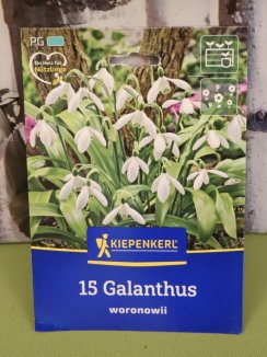 Sněženka Galanthus woronowii Nelen pro zelen etiketa