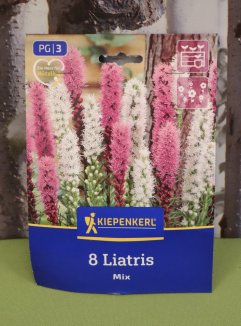 Liatris modrá a bílá Nelen pro zelen