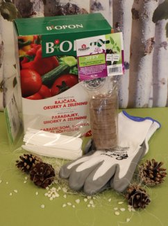 Sada pro předpěstování Nelen pro zelen