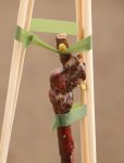Vitis vinifera 'Attika' Vinná réva 'Attika' Nelen pro zelen detail