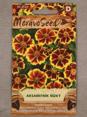 Aksamitník nízký Tagetes patula Nelen pro zelen semínka
