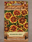 Aksamitník nízký Tagetes patula Nelen pro zelen semínka