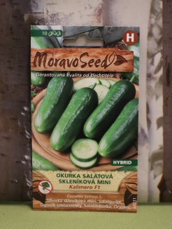 Okurka skleníková 'Kalimero' Nelen pro zelen semeno