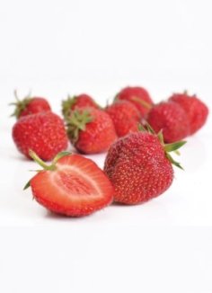 Jahodník velkoplodý 'Senga Sengana' Nelen pro zelen Fragaria ananassa 'Senga Sengana' plod