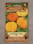 Aksamitník vysoký Tagetes erecta Nelen pro zelen semínka