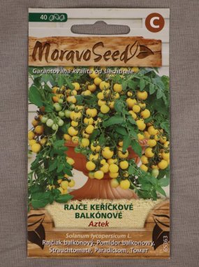Rajče keříčkové balkon Aztek Solanum lycopersicum Aztek Nelen pro zelen semínka