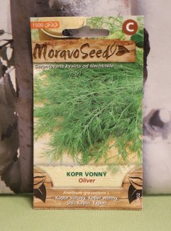 Kopr vonný 'Oliver' Nelen pro zelen semena
