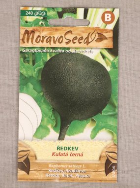 Ředkev kulatá černá Raphanus sativus Nelen pro zelen semínka