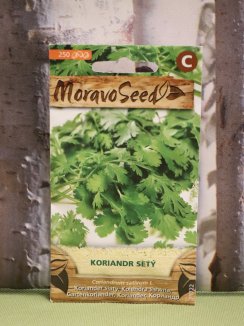 Koriandr setý Nelen pro zelen semena