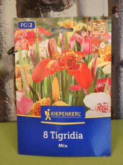 Směs tygřích květů Nelen pro zelen