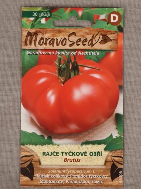 Rajče tyčkové Brutus Solanum lycopersicum Brutus Nelen pro zelen semínka