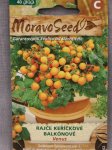 Rajče VENUS Nelen pro zelen Solanum lycopersicum VENUS plody
